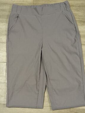 Modern Ambition Taupe Pants, M